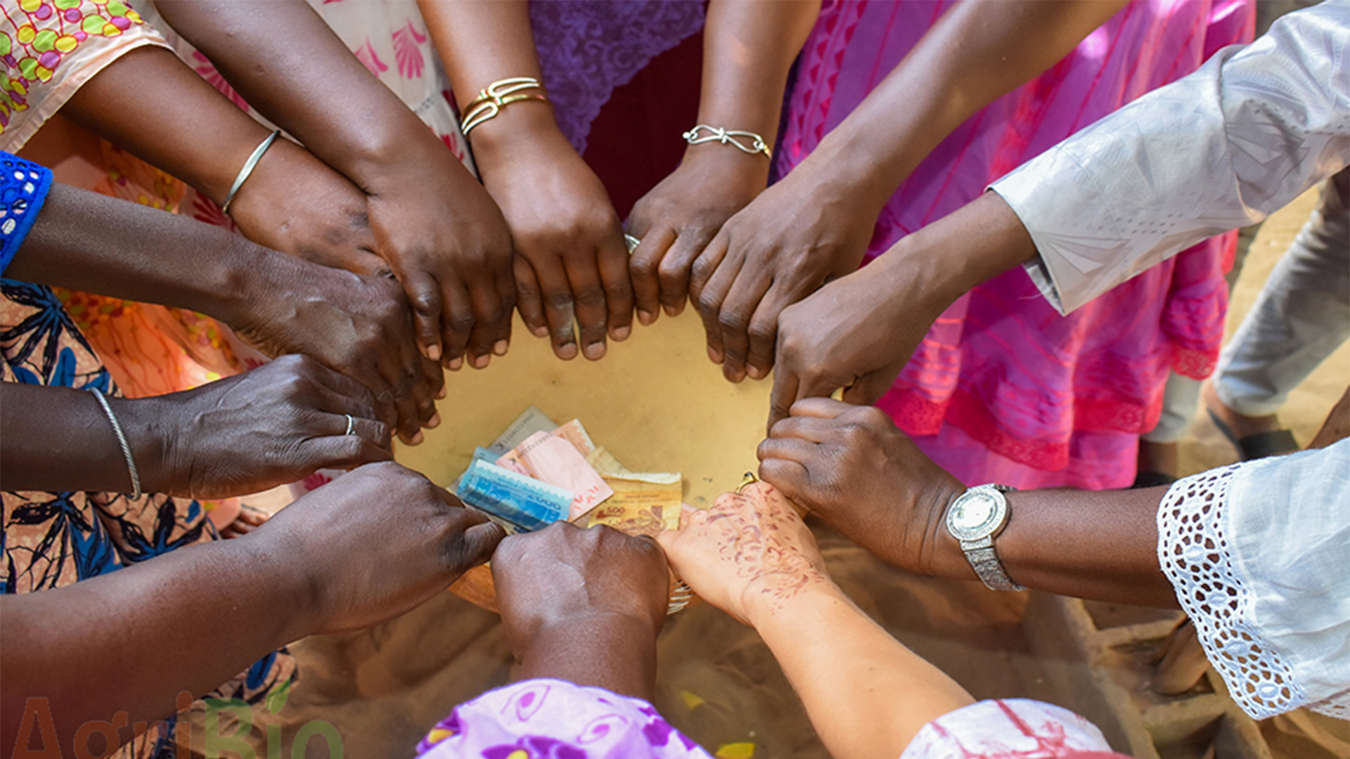 Lire la suite à propos de l’article Informations clé sur l&rsquo;approche Calebasse de Solidarité